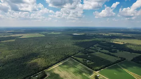000 Timmons Rd, Gretna, FL 32332