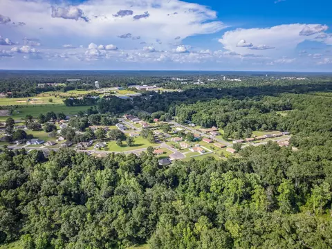 View/Area - 920 Arlington Cir, Quincy, FL 32351 photo 8 of 12