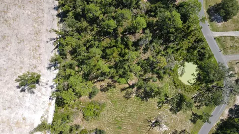 415 Judson Dr, Perry, FL 32348 photo 7