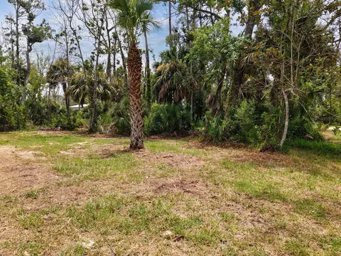 202 NE Main St #0, Steinhatchee, FL 32359 photo 7