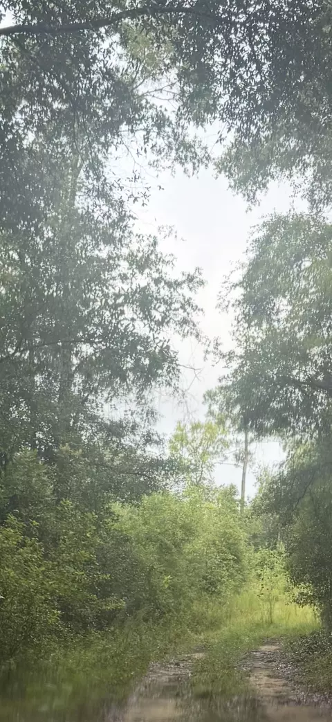 000 NE Tom Love Rd, Hosford, FL 32334