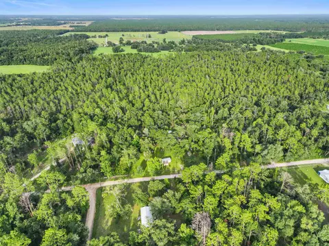 4546 NW 24th Ave, Jasper, FL 32052 photo 10