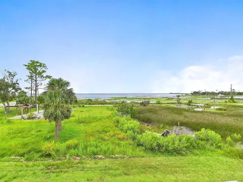 View/Area - 1640 Ezell Beach Rd, Perry, FL 32348 photo 2 of 5