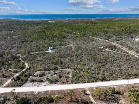 3045 Yates Creek Rd, Perry, FL 32348 photo 3