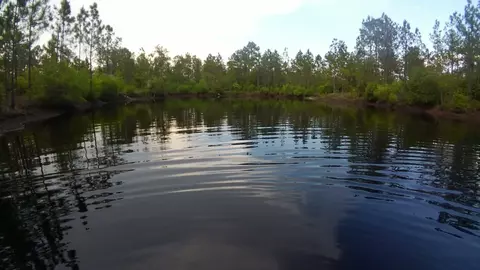 152 Sam Marks Rd, Crawfordville, FL 32327