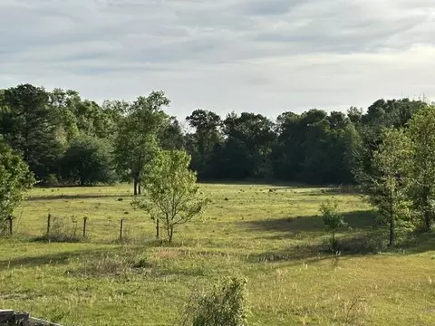 141 Glover Ln, Crawfordville, FL 32327