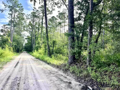 Vacant E Washington Highway, Monticello, FL 32344 photo 5