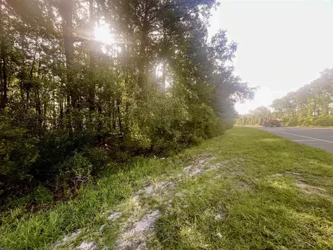 Vacant E Washington Highway, Monticello, FL 32344 photo 3