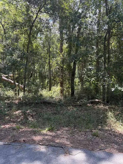 76 Barnes Rd, Monticello, FL 32344 photo 4