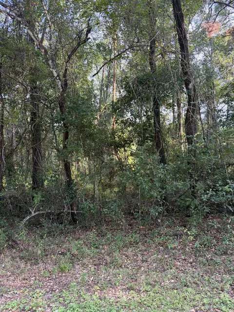 Vacant Barnes Road, Monticello, FL 32344