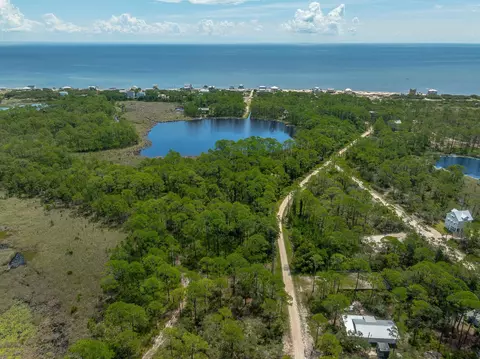 95 99 Lake View Dr, Alligator Point, FL 32346 photo 19