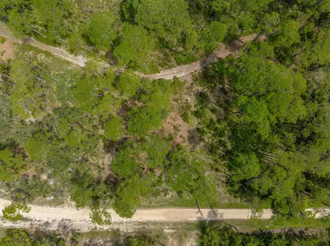 95 99 Lake View Dr, Alligator Point, FL 32346 photo 16