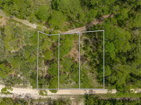 95 99 Lake View Dr, Alligator Point, FL 32346 photo 14