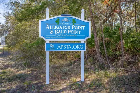 95 99 Lake View Dr, Alligator Point, FL 32346 photo 23