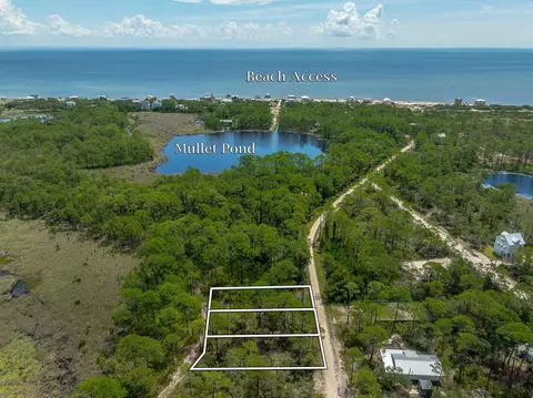 95 99 Lake View Dr, Alligator Point, FL 32346 photo 1