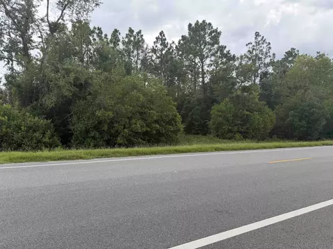 tbd W Us 98, Perry, FL 32347 photo 3