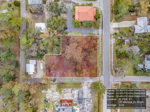 19 E Pine St, Saint Marks, FL 32355 photo 4