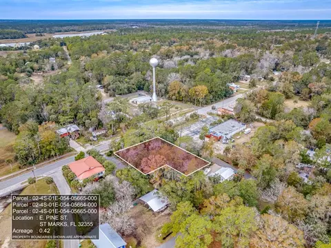 19 E Pine St, Saint Marks, FL 32355 photo 10