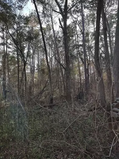 0 Ajax Rd #N/A, Tallahassee, FL 32311