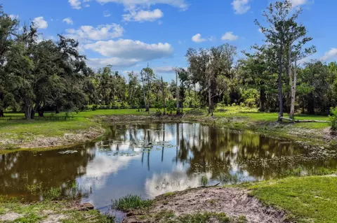 View/Area - 7885 Beach Rd, Perry, FL 32348 photo 3 of 8