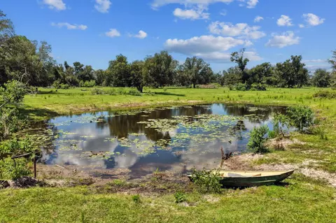 View/Area - 7885 Beach Rd, Perry, FL 32348 photo 8 of 8