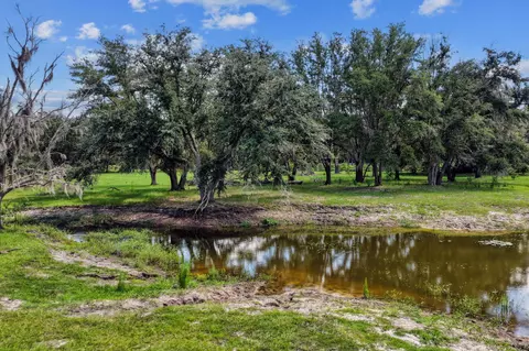 Other - 7885 Beach Rd, Perry, FL 32348 photo 17 of 17