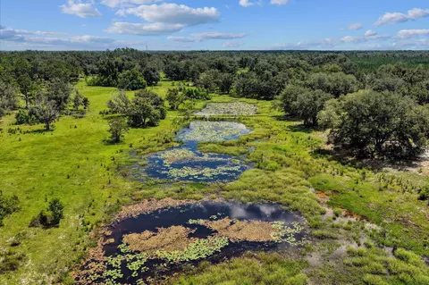 View/Area - 7885 Beach Rd, Perry, FL 32348 photo 7 of 8