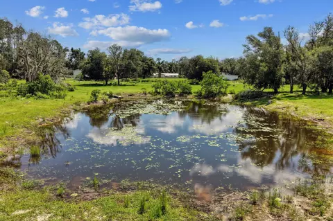 View/Area - 7885 Beach Rd, Perry, FL 32348 photo 4 of 8