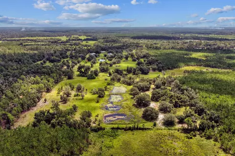 View/Area - 7885 Beach Rd, Perry, FL 32348 photo 5 of 8