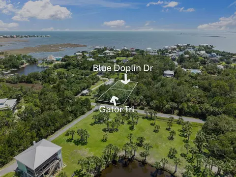 blue dolphin dr lot 2, Crawfordville, FL 32327