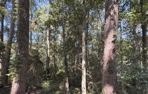 7404 Laurel Ridge Ln, Tallahassee, FL 32312