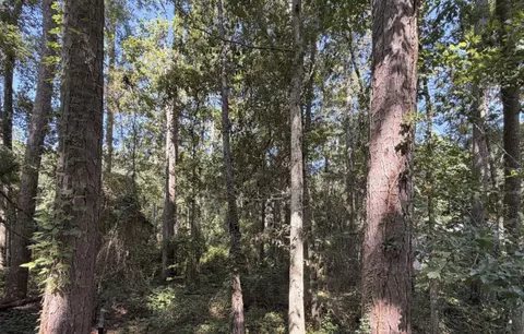 7404 Laurel Ridge Ln, Tallahassee, FL 32312