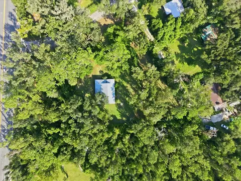 View/Area - 2419 Dorman Peacock Rd, Perry, FL 32348 photo 7 of 7