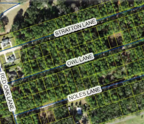 Nn Owl Lane, Crawfordville, FL 32327