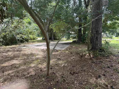 10544 SW 13th St, Sumatra, FL 32321 photo 4