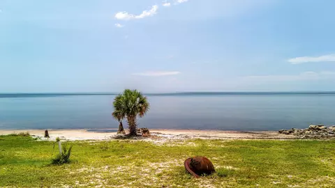 View/Area - 3166 E Highway 98, Carrabelle, FL 32322 photo 7 of 11