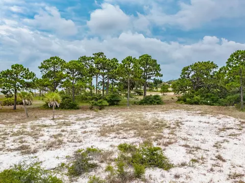 710 Bald Point Rd, Bald Point, FL 32346 photo 19