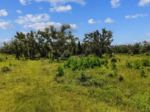 00 W Lyman Hendry Rd, Perry, FL 32347 photo 16