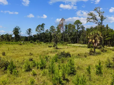 00 W Lyman Hendry Rd, Perry, FL 32347 photo 2