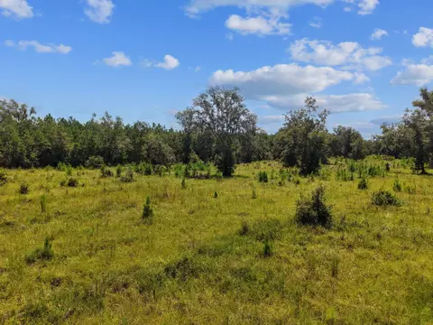 00 W Lyman Hendry Rd, Perry, FL 32347 photo 17