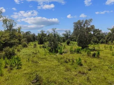 00 W Lyman Hendry Rd, Perry, FL 32347 photo 18