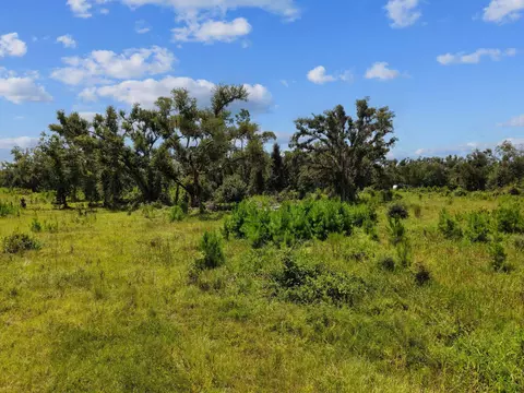 00 W Lyman Hendry Rd, Perry, FL 32347 photo 16