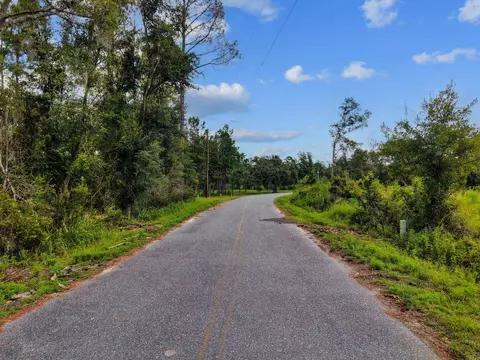 00 W Lyman Hendry Rd, Perry, FL 32347 photo 7