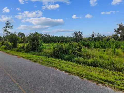 00 W Lyman Hendry Rd, Perry, FL 32347 photo 8