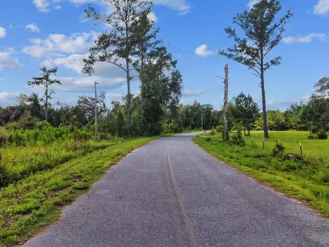 00 W Lyman Hendry Rd, Perry, FL 32347 photo 6