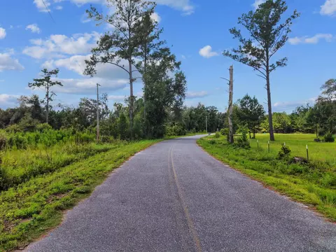 00 W Lyman Hendry Rd, Perry, FL 32347 photo 6