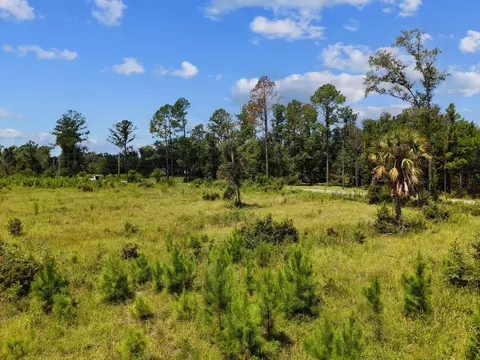 00 W Lyman Hendry Rd, Perry, FL 32347 photo 2