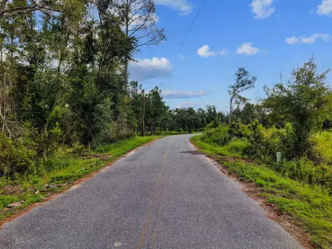 00 W Lyman Hendry Rd, Perry, FL 32347 photo 7