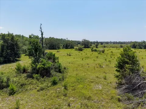 1670 Dennis Howell Rd, Perry, FL 32348 photo 29