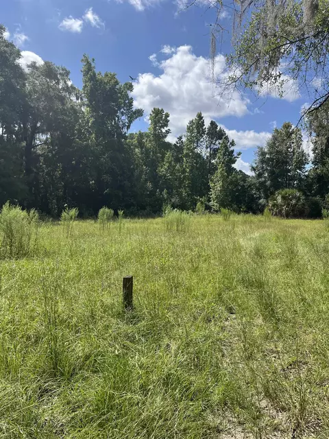 Nn Paulette Drive, Crawfordville, FL 32327